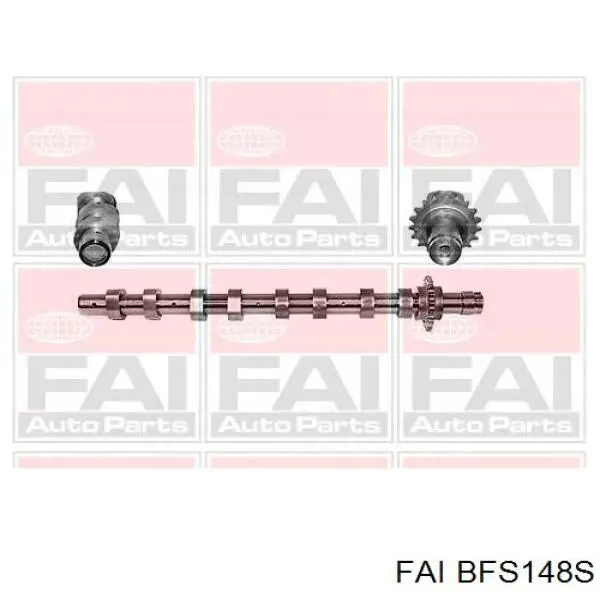 50006419 TRW Taqués de motor