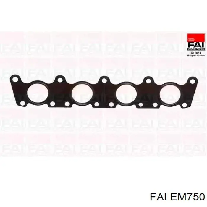 EM750 FAI Junta colector joint