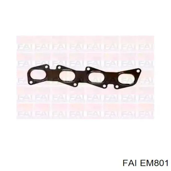 EM801 FAI Junta colector joint