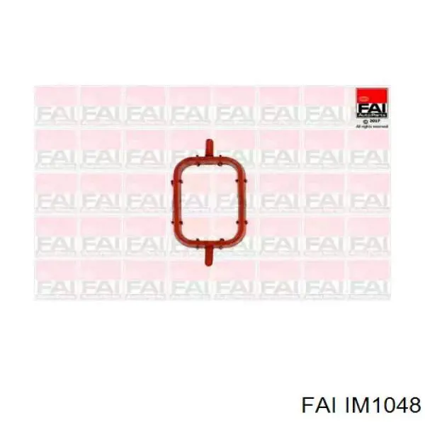 IM1048 FAI junta, colector de admisión