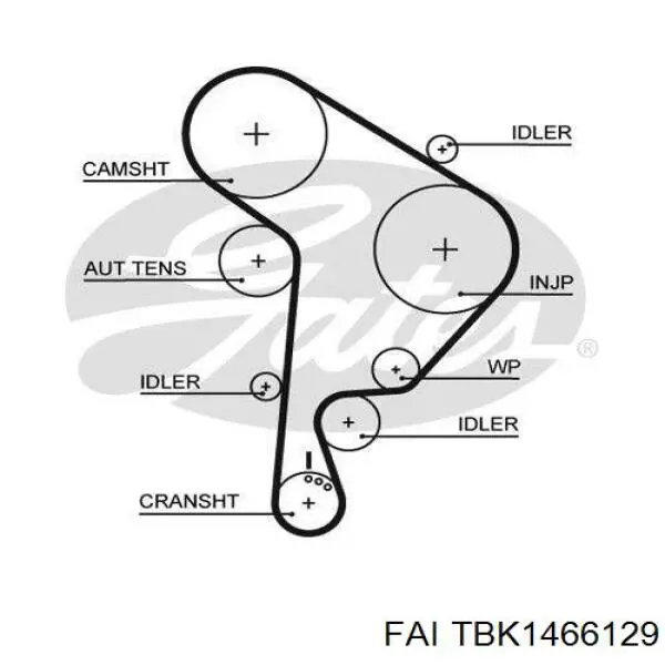 TBK1466129 FAI kit correa de distribución