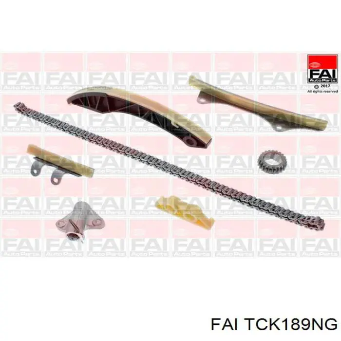 Kit de cadena de distribución TCK189NG FAI