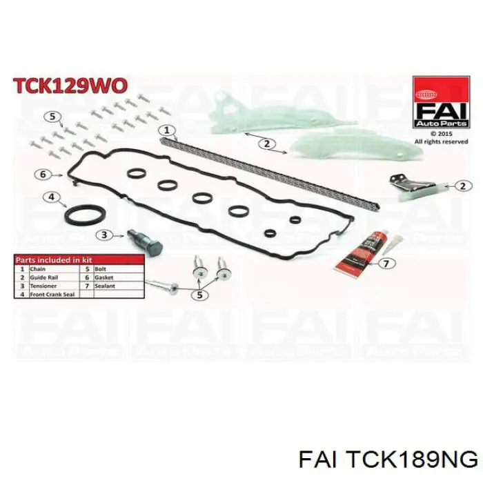 Kit de cadena de distribución TCK189NG FAI