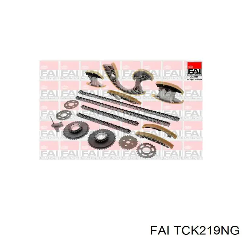 Kit de cadena de distribución B12735 Borsehung