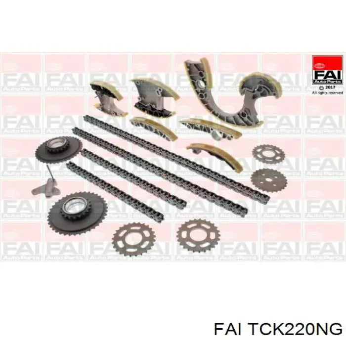 Kit de cadena de distribución FAI TCK220NG precio, desde 485,09 EUR