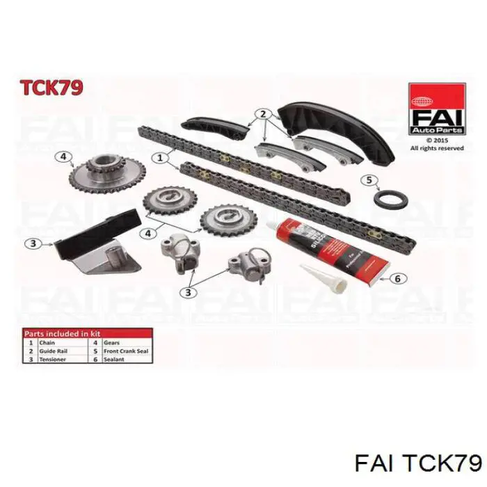 TCK79 FAI kit de cadenas de distribución