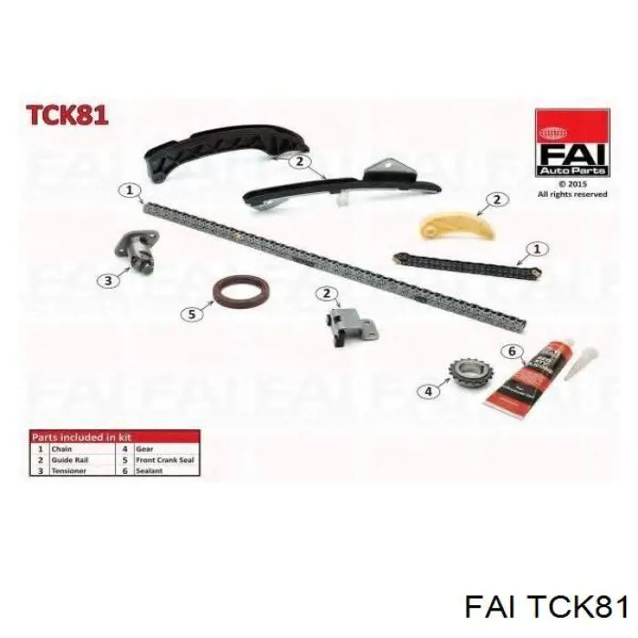 TCK81 FAI kit de cadenas de distribución