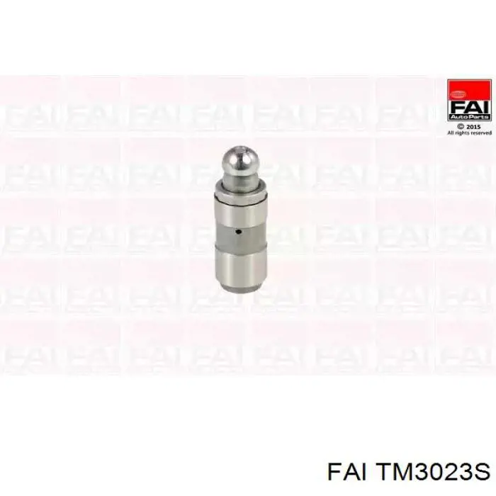 Comprar TM3023S FAI Taqués hidráulicos