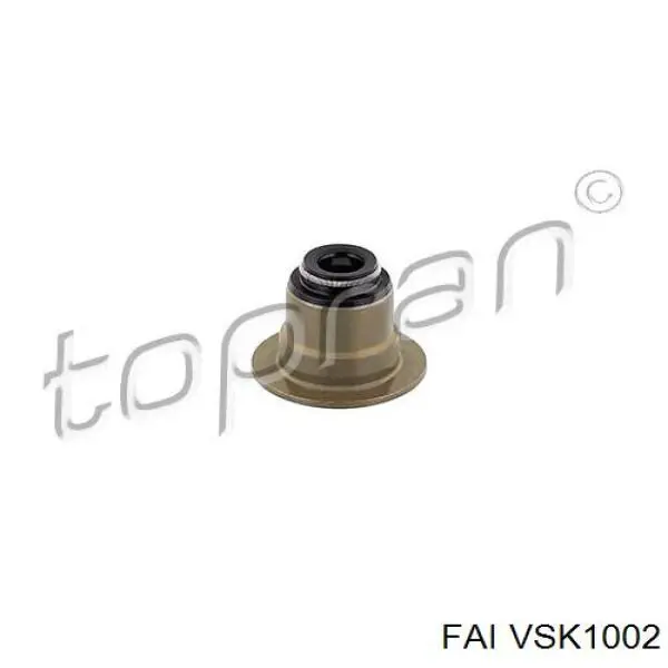 VSK1002 FAI