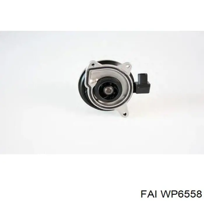 Bombeadora de agua FAI WP6558 precio, desde 175,95 EUR