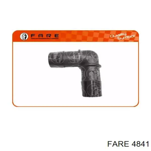 4841 Fare 
