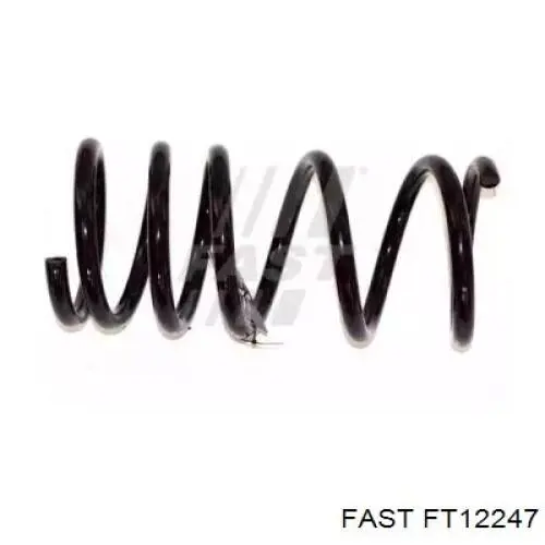 FT12247 Fast Muelle delantero
