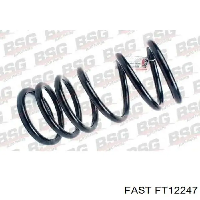 Muelle delantero Fast FT12247 precio, desde 41,94 EUR