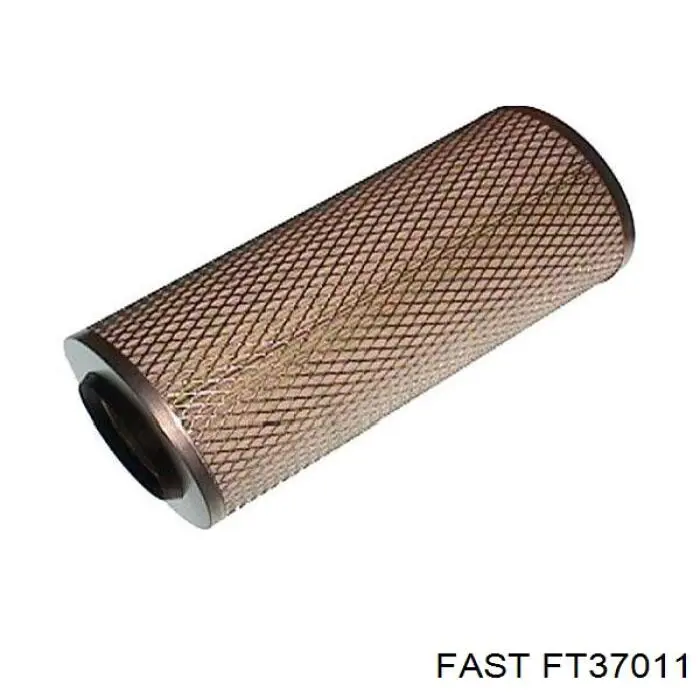FT37011 Fast filtro de aire