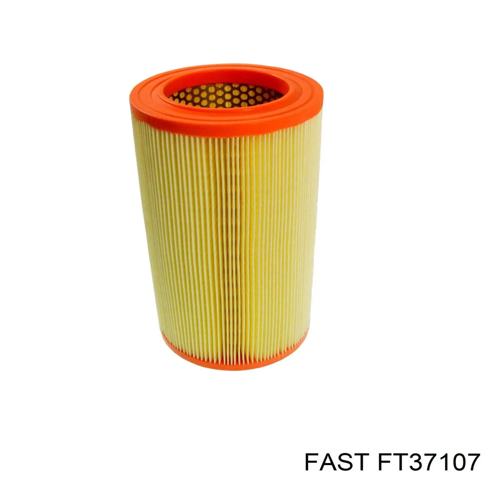 FT37107 Fast filtro de aire