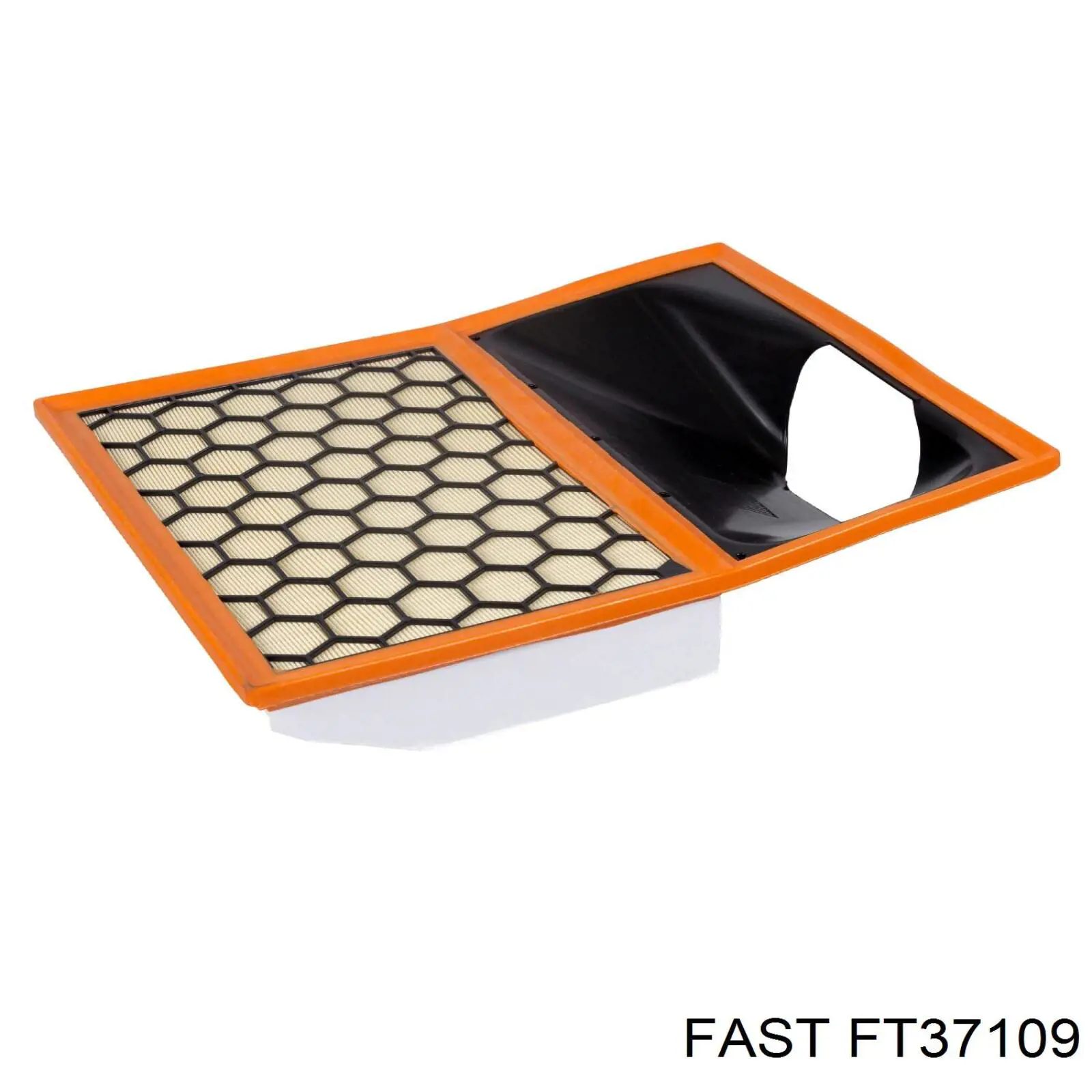 FT37109 Fast filtro de aire