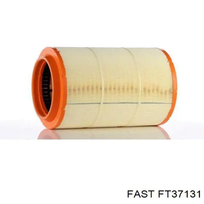 FT37131 Fast filtro de aire