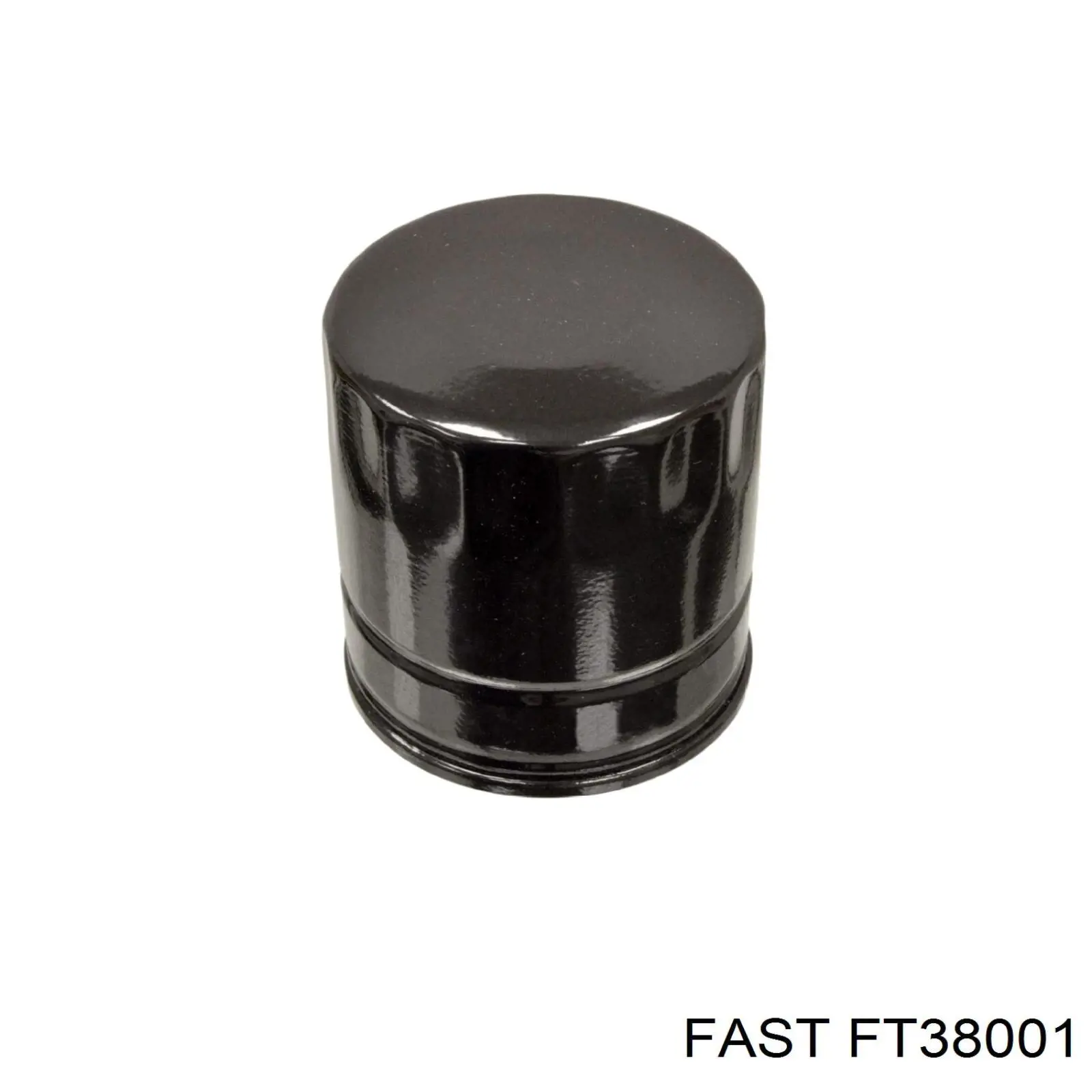 FT38001 Fast filtro de aceite