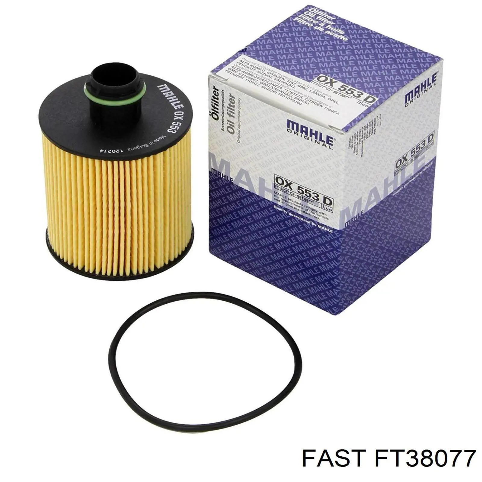 FT38077 Fast filtro de aceite