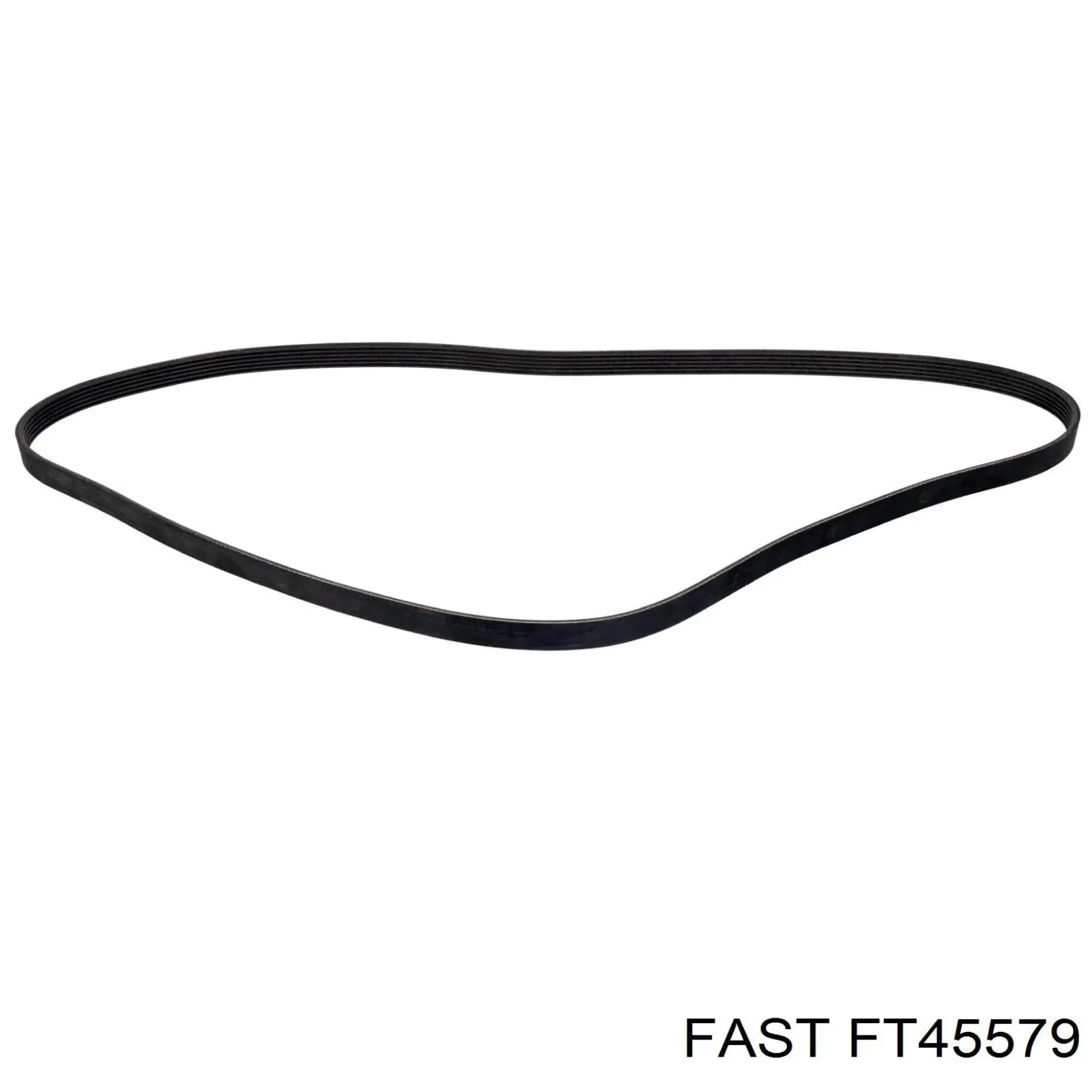 FT45579 Fast polea de cigüeñal