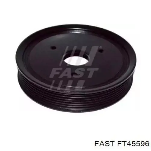 Polea de la bomba de dirección asistida Fast FT45596 precio, desde 49,58 EUR