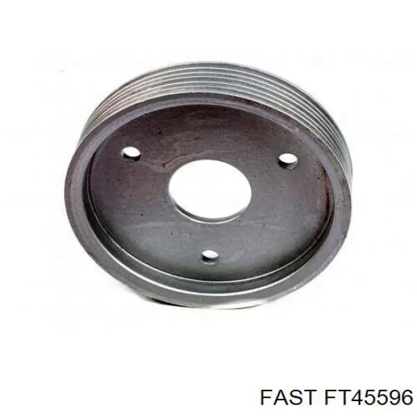Comprar FT45596 Fast Polea de la bomba de dirección asistida