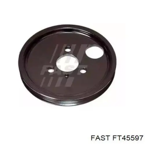 Polea de la bomba de dirección asistida Fast FT45597 precio, desde 28,28 EUR