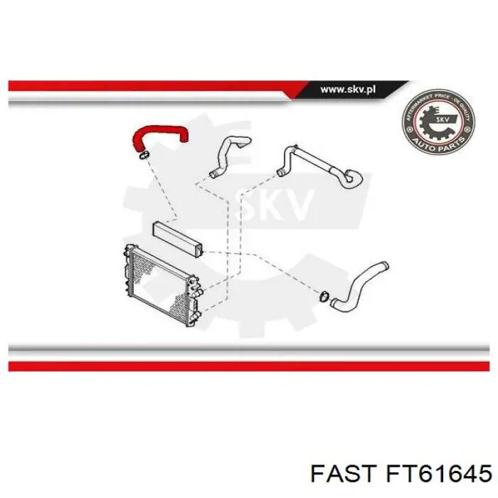 FT61645 Fast tubo flexible de aire de sobrealimentación derecho