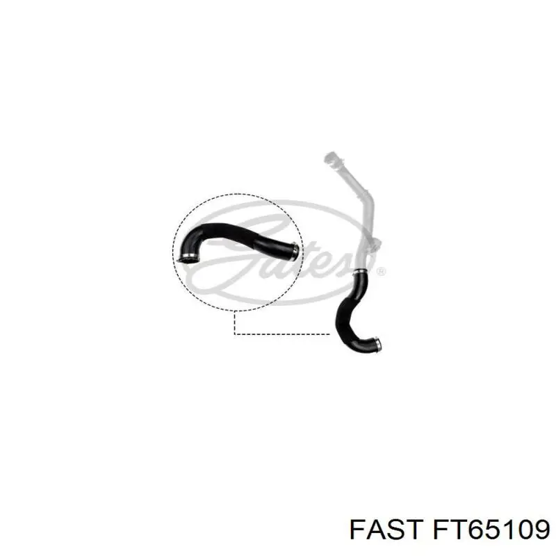 FT65109 Fast tubo flexible de aire de sobrealimentación inferior izquierdo