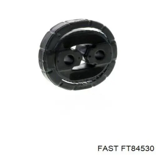 FT84530 Fast soporte, silenciador