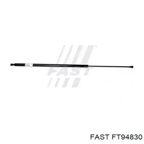 Comprar FT94830 Fast Amortiguador de puerta trasera