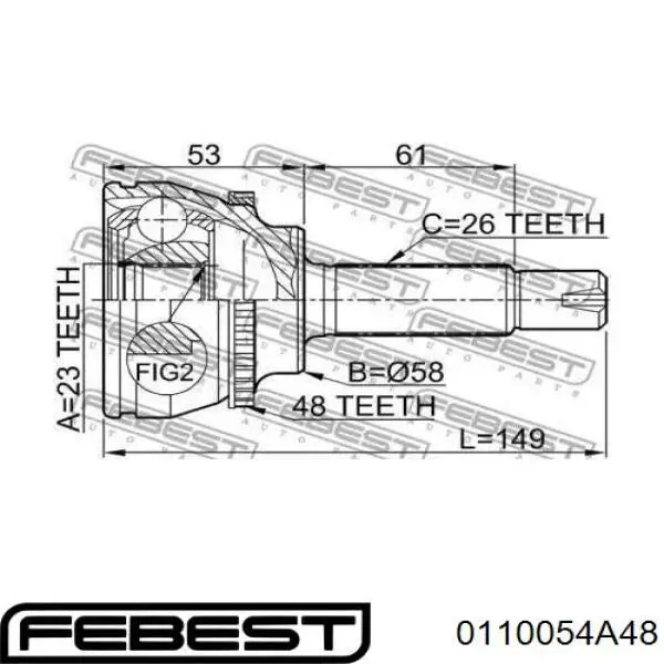 0110054A48 Febest junta homocinética exterior delantera