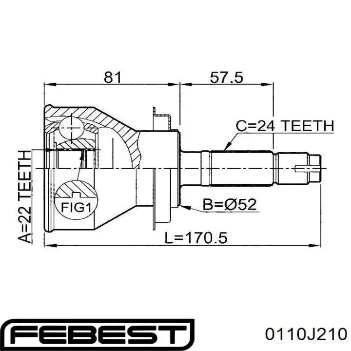 Junta homocinetica 0110J210 Febest