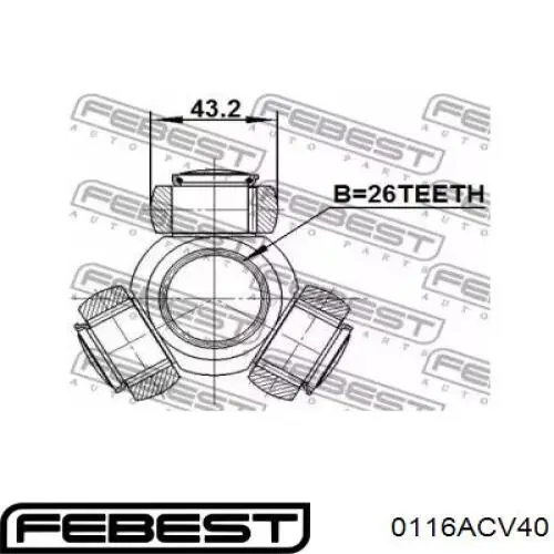 Comprar 0116ACV40 Febest Junta trípode interior