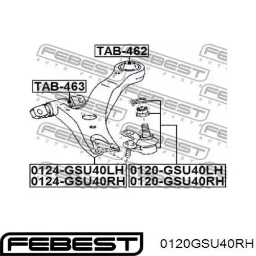 0120-GSU40RH Febest rótula de suspensión inferior derecha