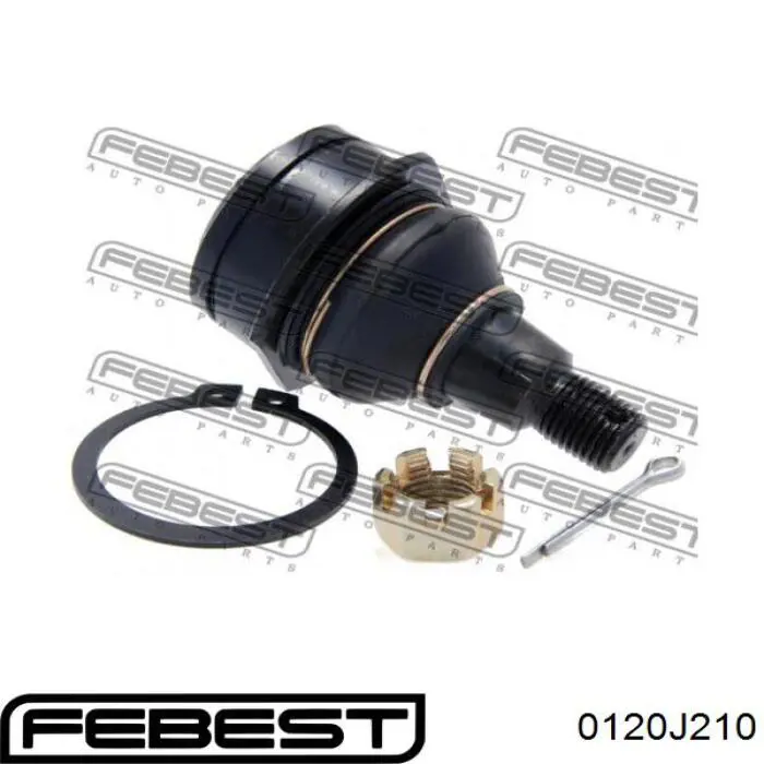 Rótula inferior de suspensión Febest 0120J210 precio, desde 20,59 EUR