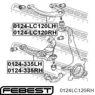 Brazo superior derecho de la suspensión delantera Moog TOWP4999