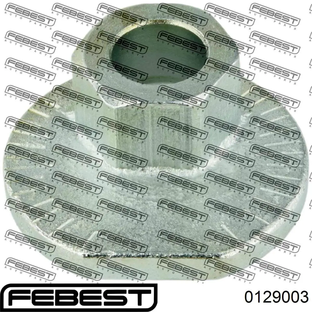 Comprar 0129003 Febest Perno de fijación del brazo inferior delantero