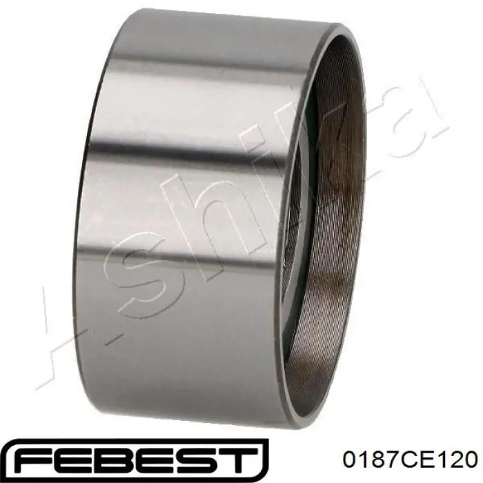 Rodillo tensor cadena Febest 0187CE120