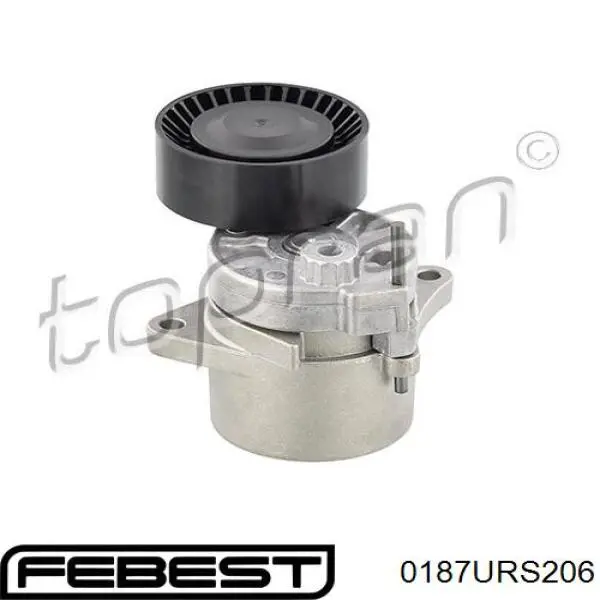 Comprar 0187URS206 Febest Polea tensora, correa poli V