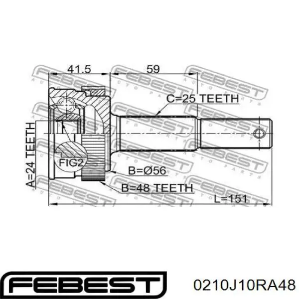 0210J10RA48 Febest junta homocinética exterior trasera