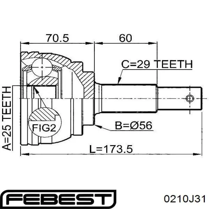 0210-J31 Febest junta homocinética exterior delantera