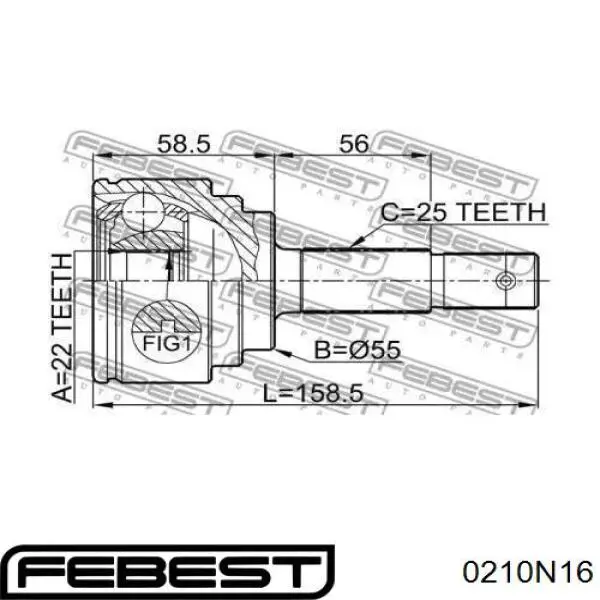 Comprar 0210N16 Febest Junta homocinetica