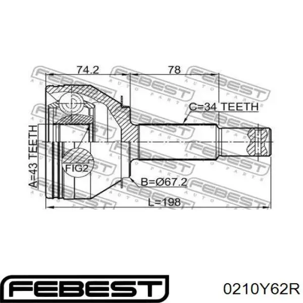 0210-Y62R Febest junta homocinética exterior trasera