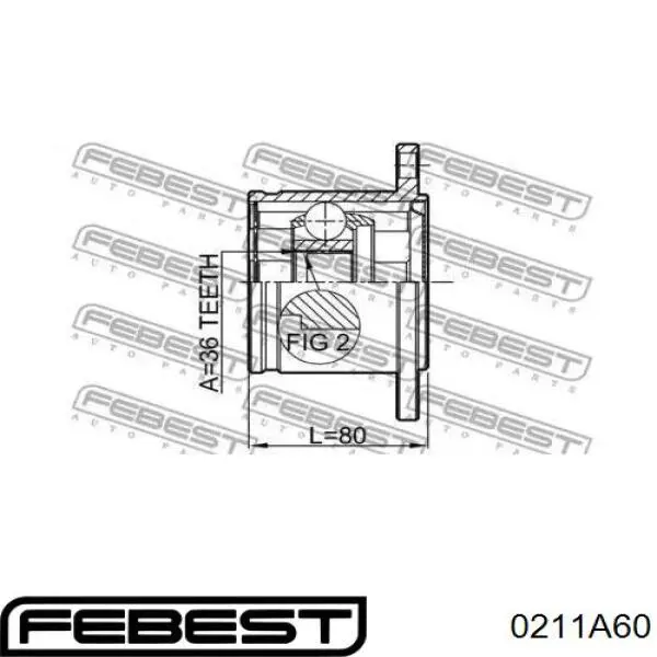 Juego de articulación, árbol de transmisión, interior delantera Nissan Armada (TA60)