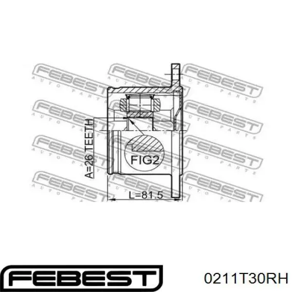Junta homocinética interna delantera derecha Febest 0211T30RH precio, desde 53,93 EUR