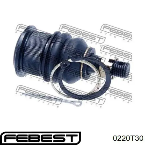 Rótula inferior de suspensión Nissan X-Trail 