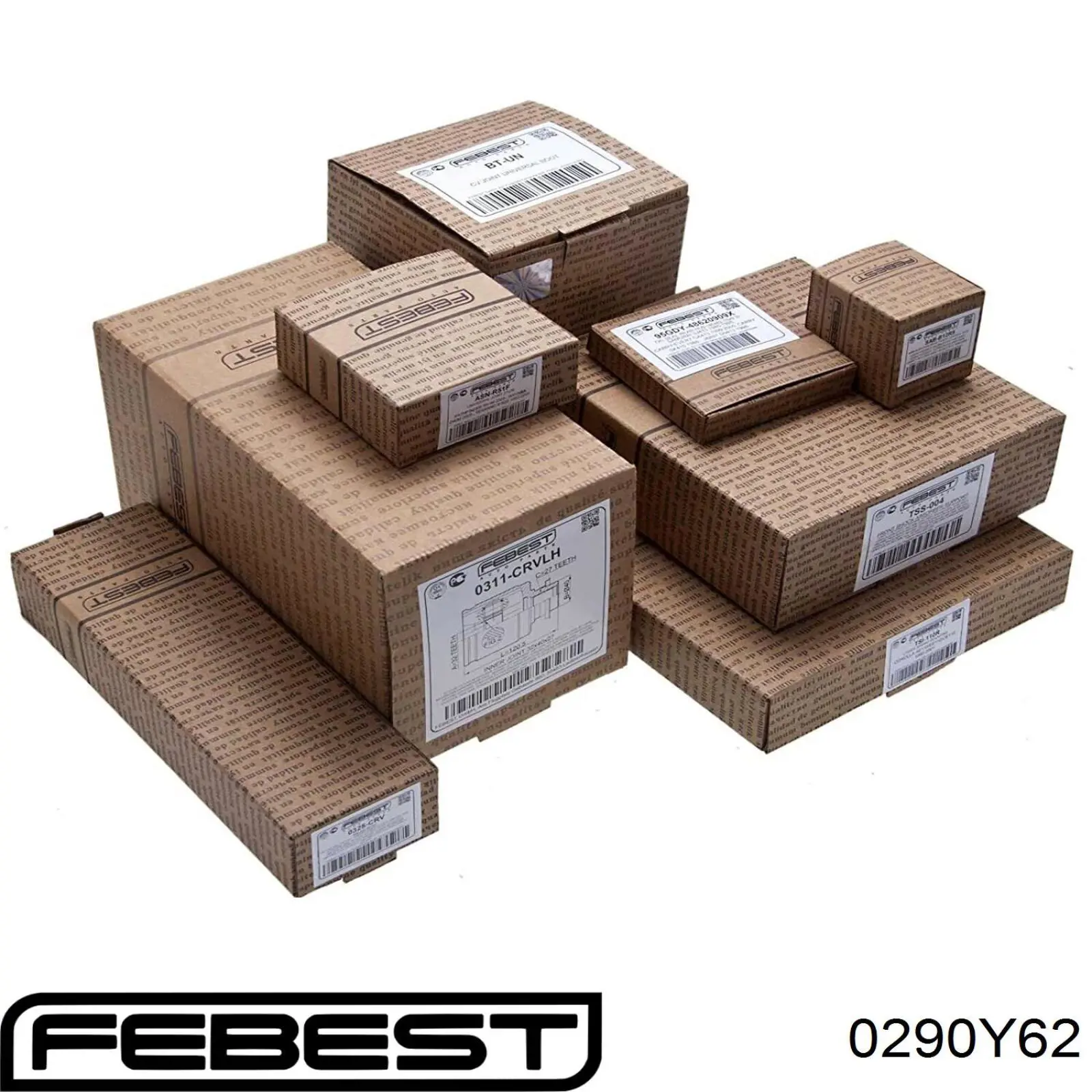Comprar 0290Y62 Febest Tensor de correa poli V 