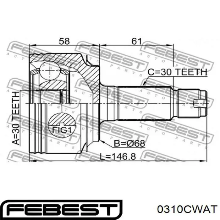 0310-CWAT Febest junta homocinética exterior delantera