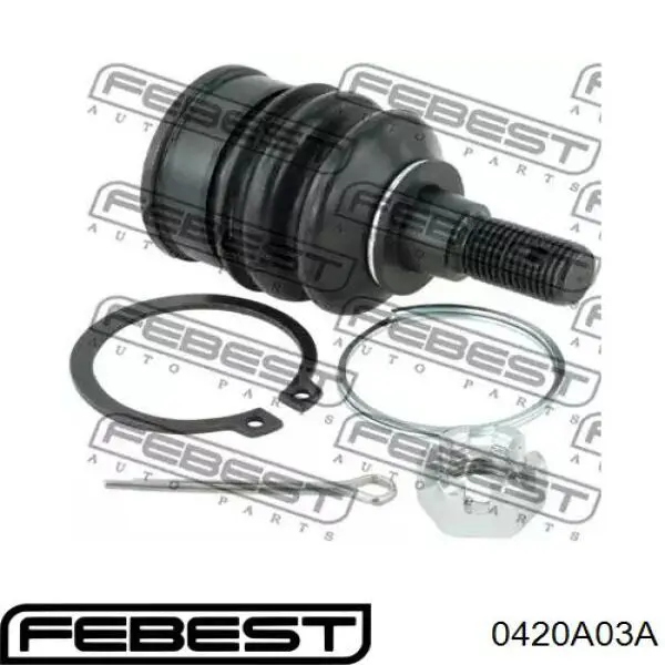 Comprar SBB172 555 Rótula inferior de suspensión